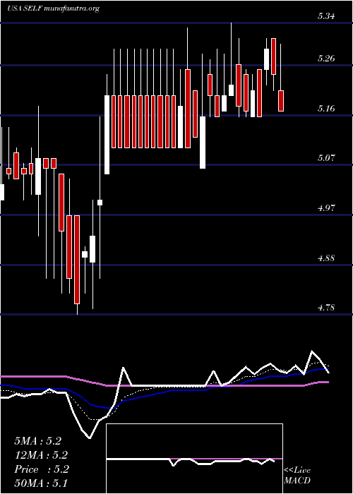  Daily chart GlobalSelf