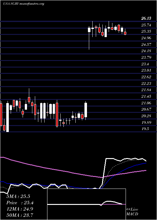  Daily chart SurgeryPartners