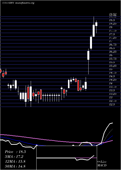  Daily chart SiBone