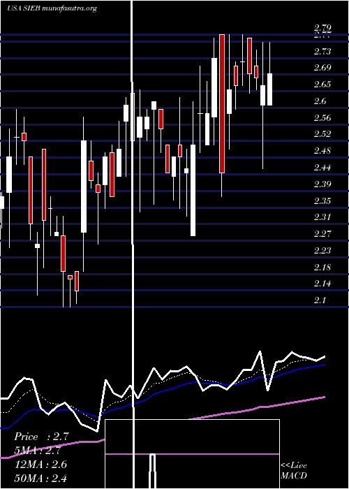  Daily chart SiebertFinancial