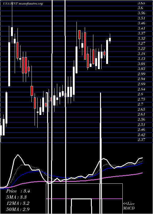  Daily chart SintxTechnologies