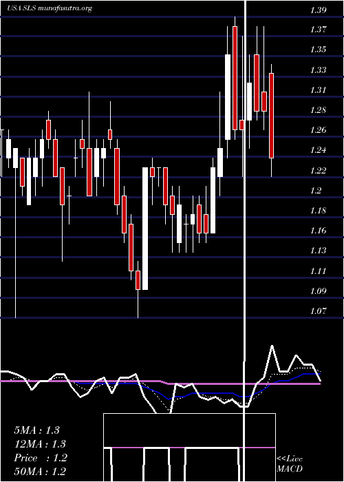  Daily chart SellasLife