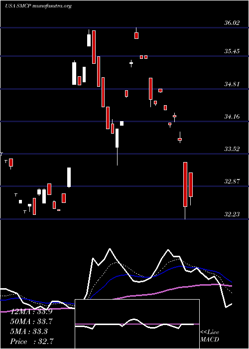  Daily chart AlphamarkActively