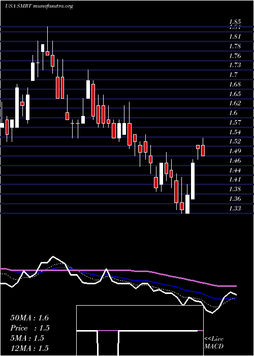  Daily chart SteinMart