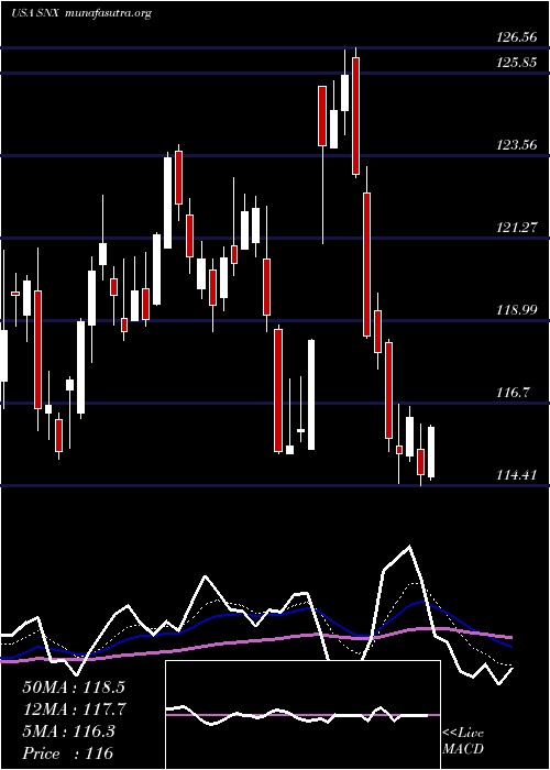  Daily chart SynnexCorporation