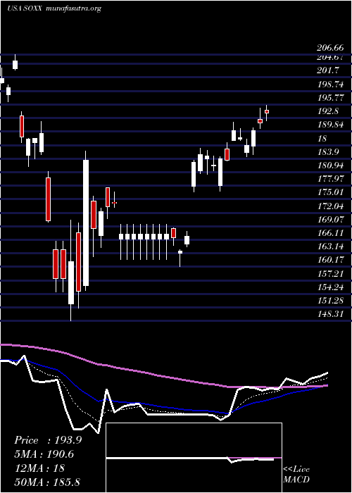  Daily chart IsharesPhlx