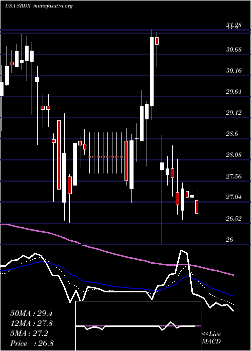  Daily chart SurmodicsInc