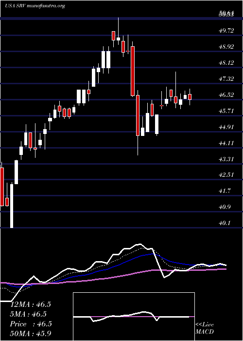  Daily chart CushingMlp