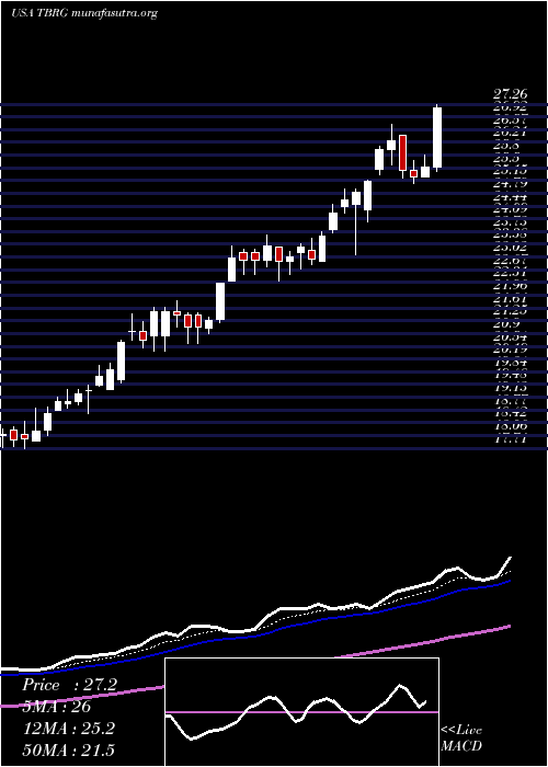  Daily chart ThunderBridge