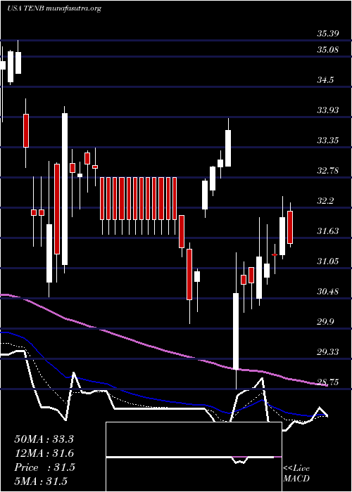  Daily chart TenableHoldings