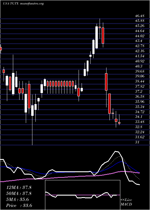 Daily chart TgTherapeutics
