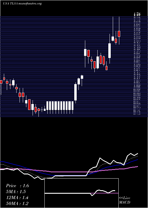  Daily chart TizianaLife