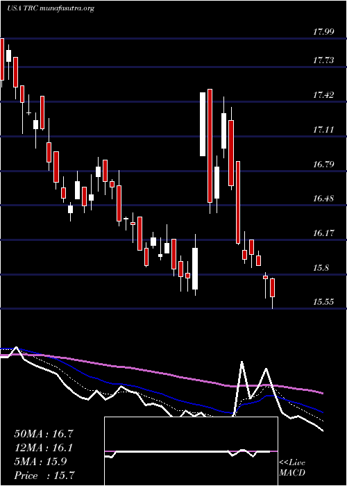  Daily chart TejonRanch