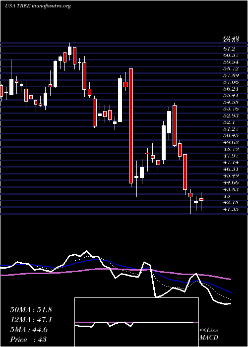  Daily chart LendingtreeInc