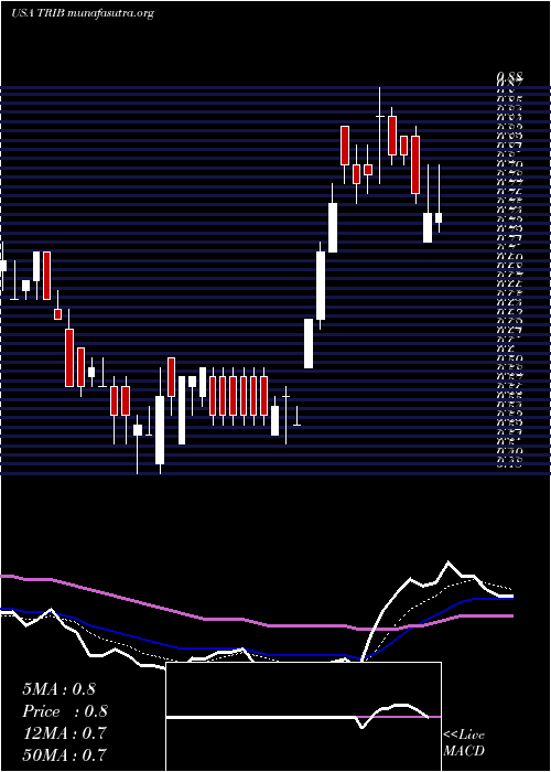  Daily chart TrinityBiotech
