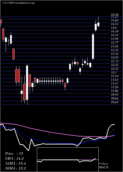  Daily chart TripadvisorInc
