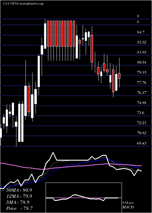  Daily chart TranscatInc