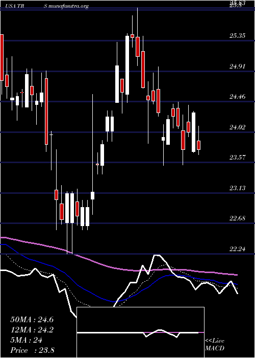  Daily chart TrimasCorporation