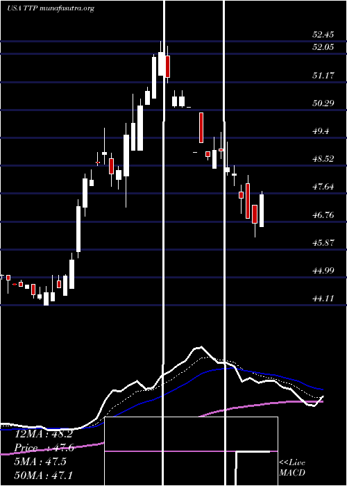  Daily chart TortoisePipeline