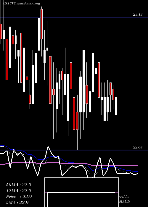  Daily chart TennesseeValley