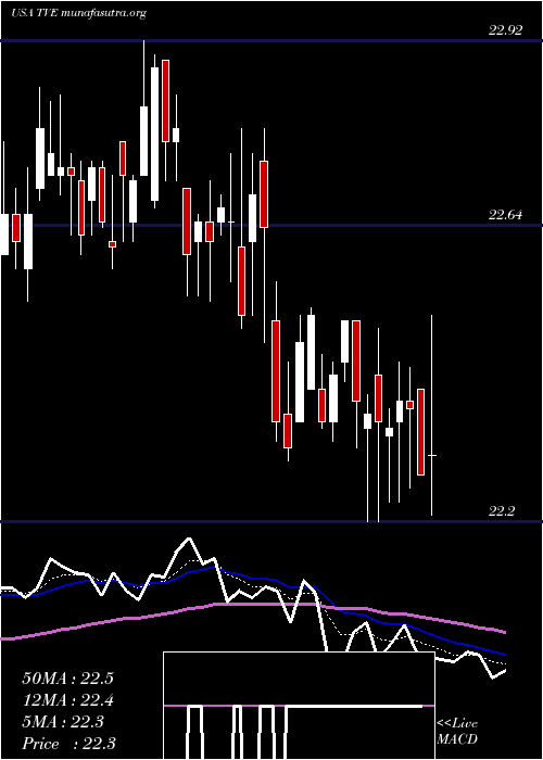  Daily chart TennesseeValley