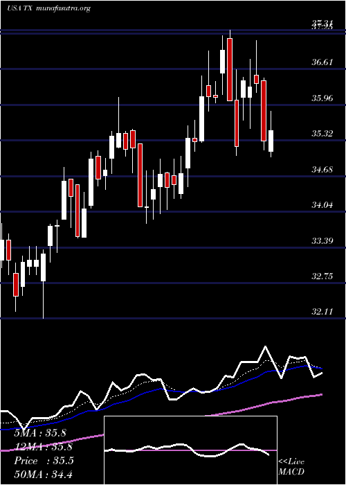  Daily chart TerniumS