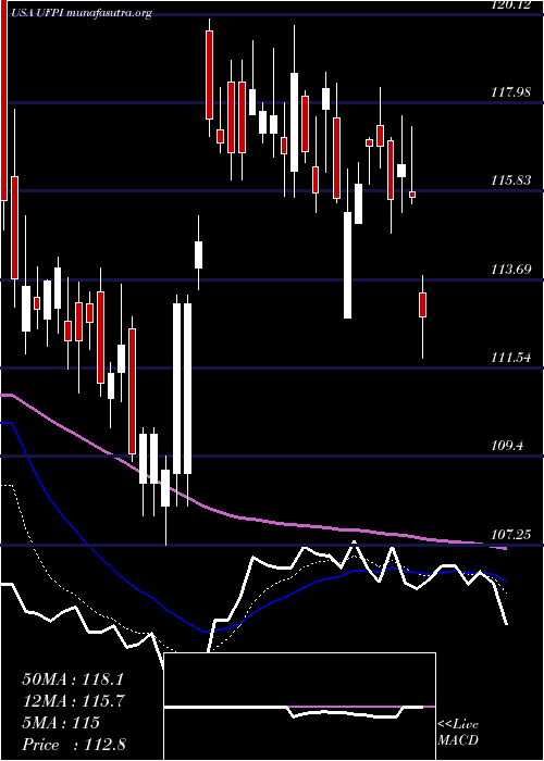  Daily chart UniversalForest