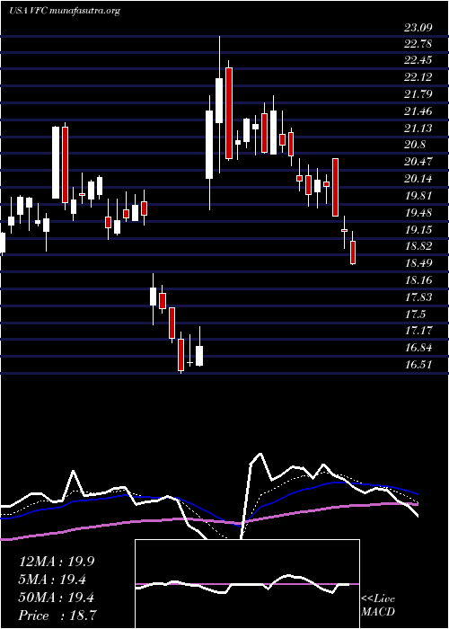  Daily chart VF