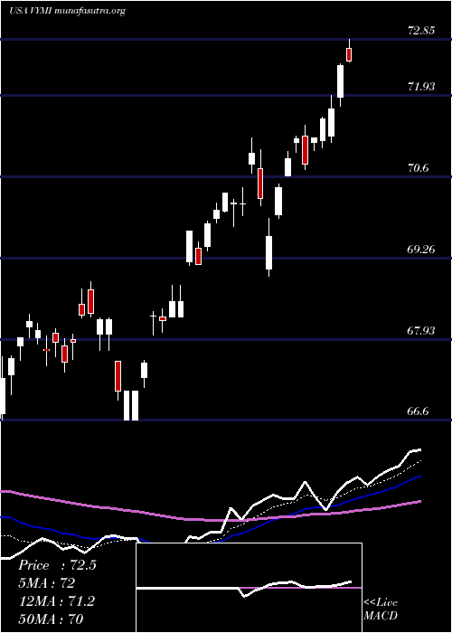  Daily chart VanguardInternational