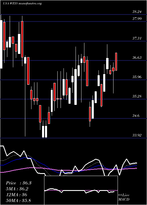  Daily chart WeycoGroup