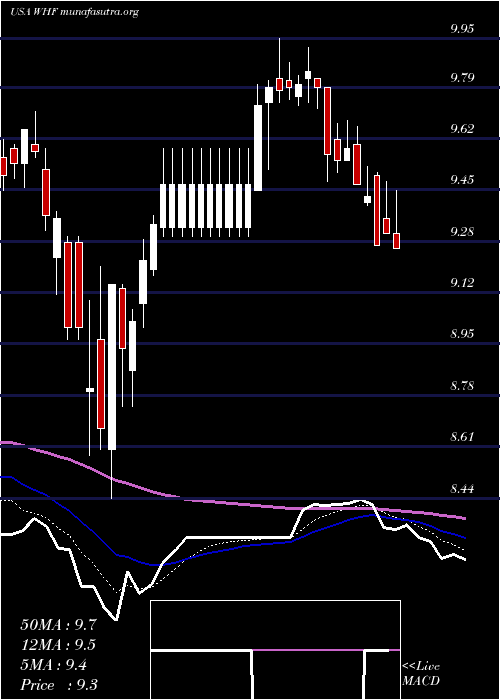 Daily chart WhitehorseFinance