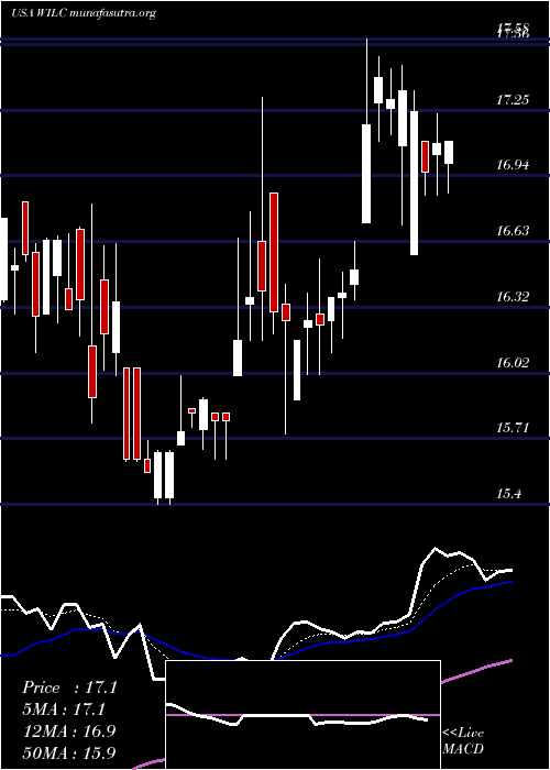  Daily chart GWilli