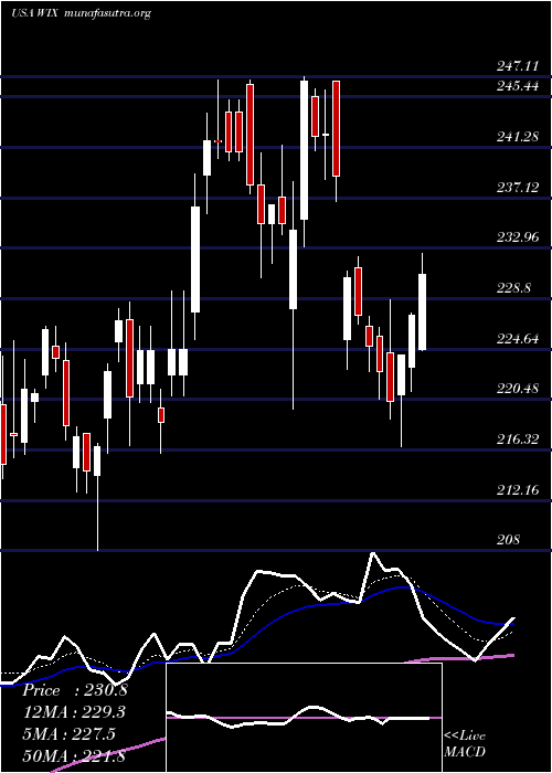  Daily chart WixCom