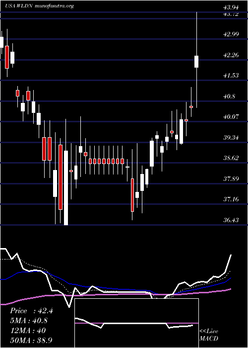  Daily chart WilldanGroup