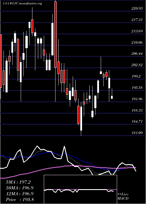  Daily chart WillisLease