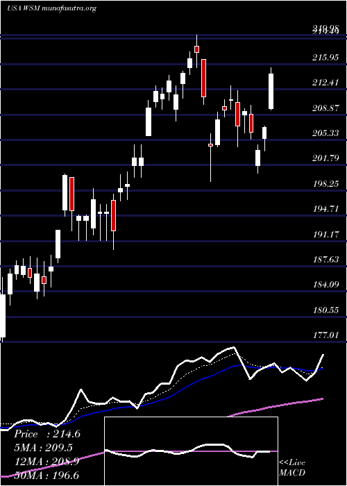  Daily chart WilliamsSonoma