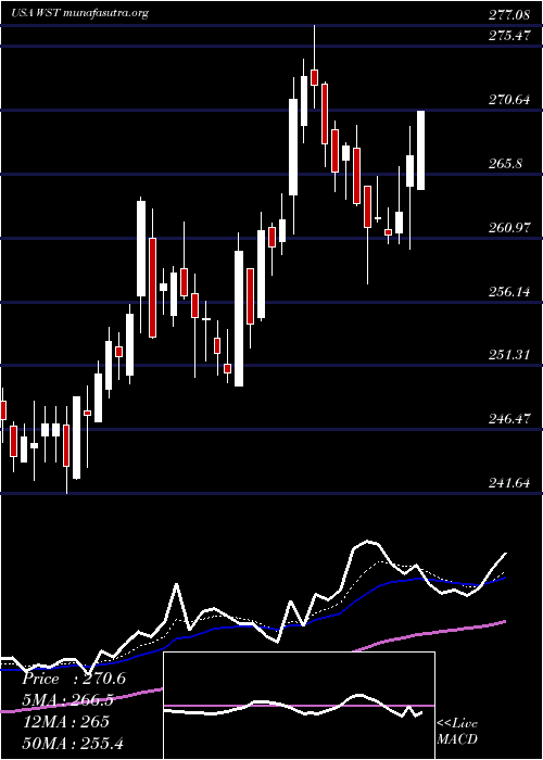  Daily chart WestPharmaceutical
