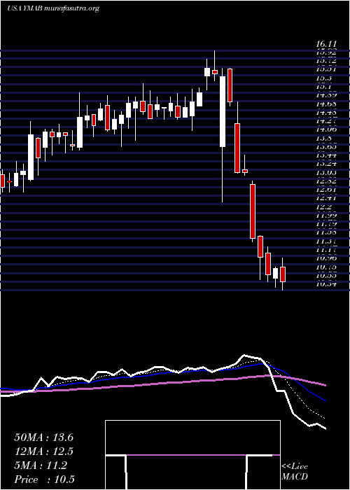  Daily chart YMabs