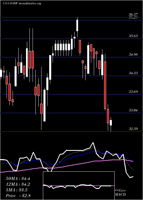  Daily chart YorkWater
