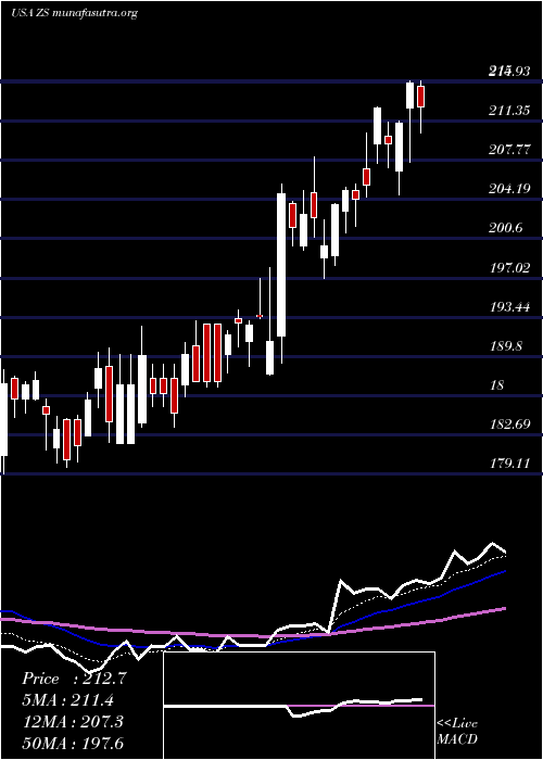  Daily chart ZscalerInc