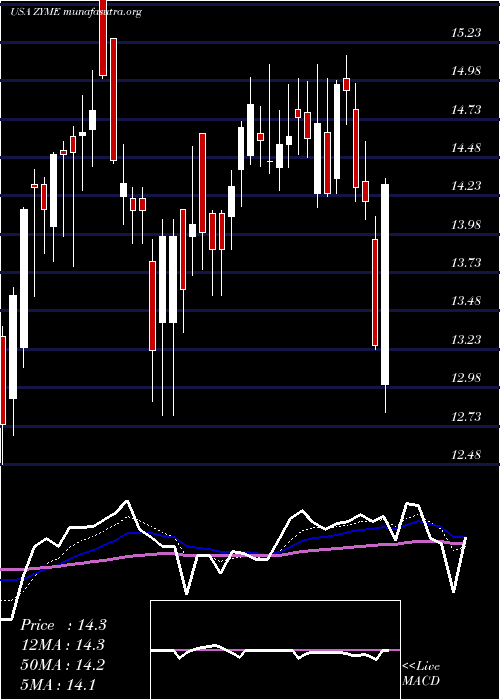  Daily chart ZymeworksInc